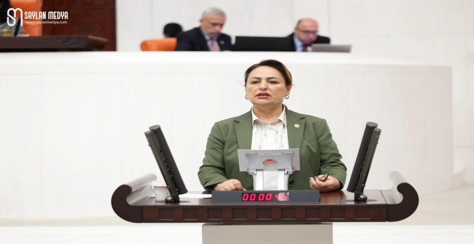 CHP’li Dr. Şevkin’den engelliler ve aileleri için kritik önergeler