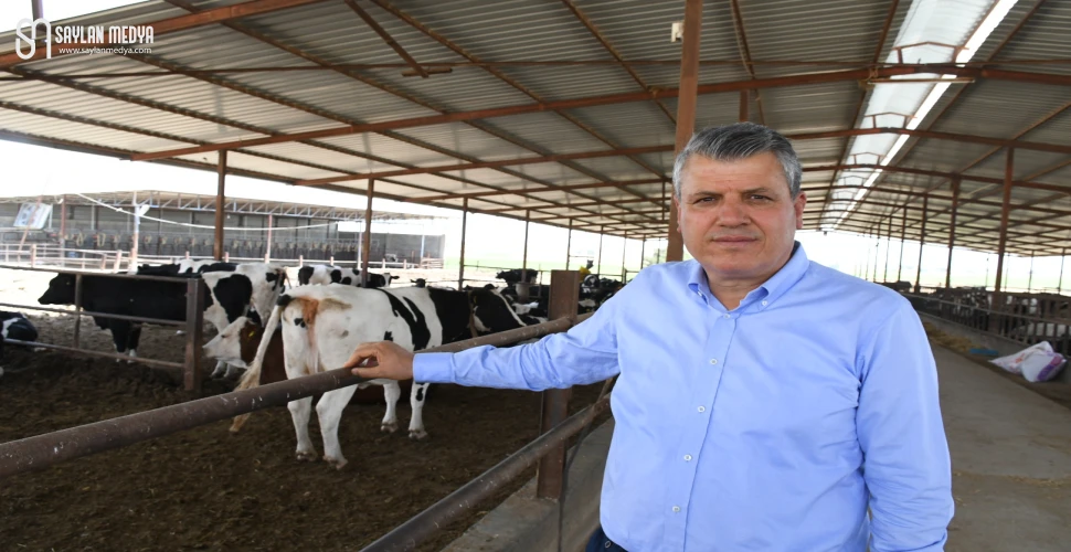 Hayvancılıkta şap alarmı