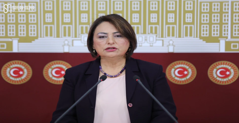 Kamu elinde gelir getiren varlıklar neden özelleştiriliyor?