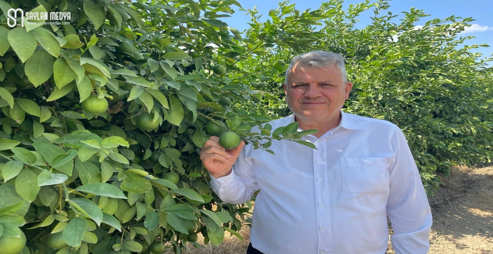 Ayhan Barut’tan iktidara narenciye için çözüm çağrısı