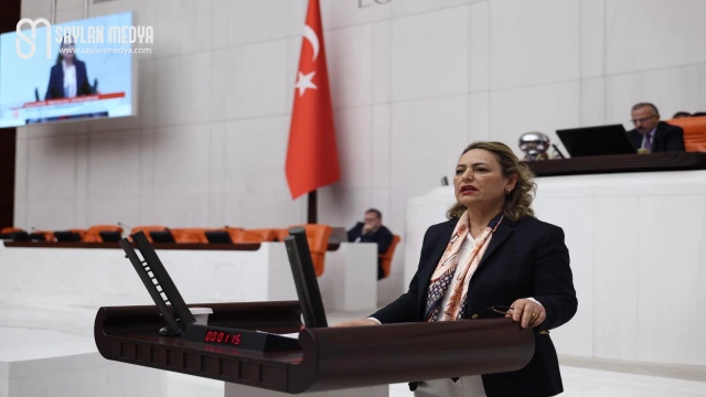 Dr. Müzeyyen Şevkin’den “jeoloji mühendisi ve yerbilimci atayın” çağrısı