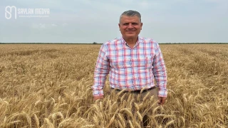 Ayhan Barut'tan buğday taban fiyatını açıklayın çağrısı