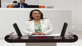 Müzeyyen Şevkin: Üretim çarkı durdu