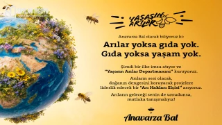 Arı Haklarını ve Ekosistemi Korumak İçin “Yaşasın Arılar Departmanı”