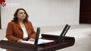 CHP’li Dr. Müzeyyen Şevkin, Doğu Akdeniz’de deniz ulaşımı çağrısı yaptı