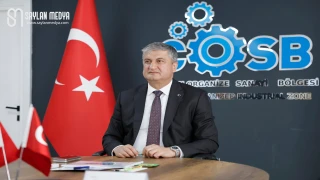 Vali Yavuz’un başkanlığında Ceyhan Organize Sanayi Bölgesi Yönetim Kurulu Toplantısı gerçekleştirildi