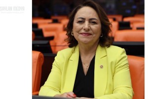 TMMOB ve bağlı odaların sorunları meclis gündemine taşındı